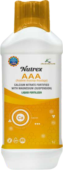 Nutrex - AAA