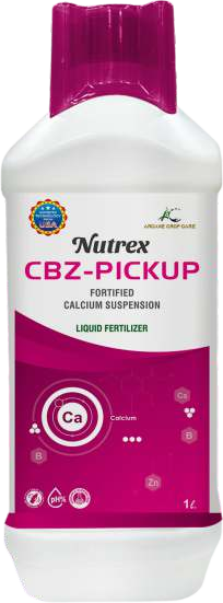 Nutrex - CBZ-Pickup