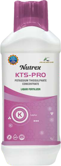 Nutrex - KTS-PRO