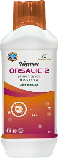 Nutrex - Orsalic 2