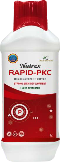Nutrex - Rapid PKC