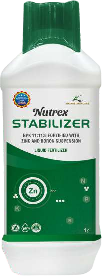 Nutrex - Stabilizer