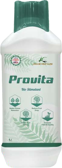 Provita