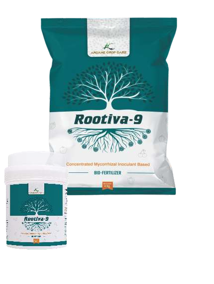 Rootvita-9